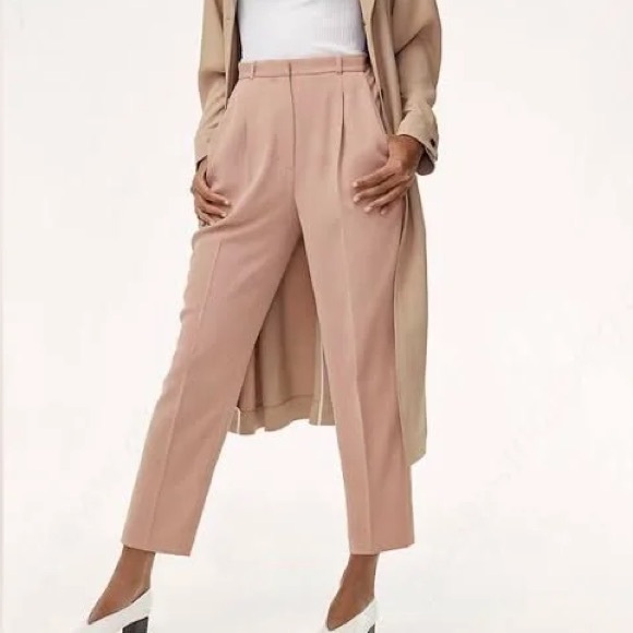 Aritzia | Wilfred Essie Pleated Trouser - Picture 2 of 4